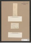Navicula sp. (de-Toni-Nr.: Genus 1) Zeichnungen Sammlung Grunow Nr. 1514 (NHMW-BOT-W0368038)